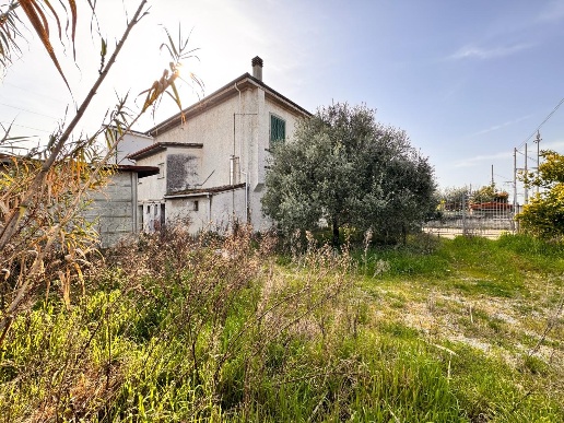 immagine annuncio 10 di 14