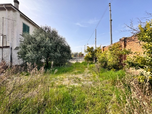 immagine annuncio 11 di 14