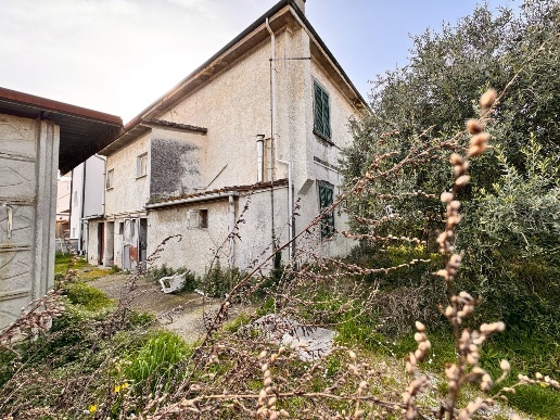 immagine annuncio 12 di 14