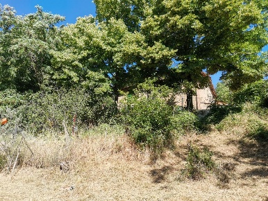 Foto Casale a Casole d'Elsa di 300 m² con 12 locali in vendita