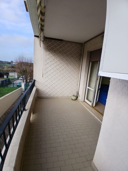 immagine annuncio 5 di 14