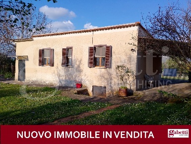 Foto Casa indipendente in Via Pio Nono 3, Cisterna di Latina Centro