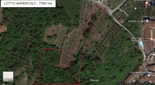 Foto Terreno agricolo in Via della Molaria, Manerba del Garda di 7590 m²