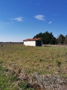Foto Terreno agricolo a Fucecchio di 5847 m² in vendita