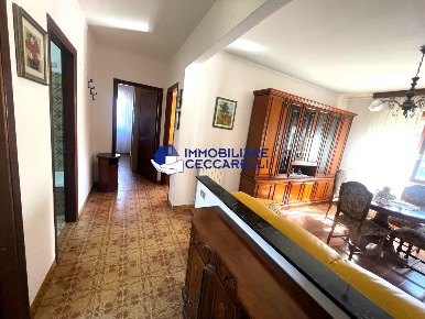 Foto Appartamento a Massa Marina di Massa Centro di 65 m² con 3 locali