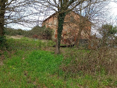 Foto Terreno agricolo a Ponte Buggianese di 30733 m² in vendita