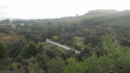 Foto Terreno residenziale in Contrada Santa Giuliana, Massignano in vendita