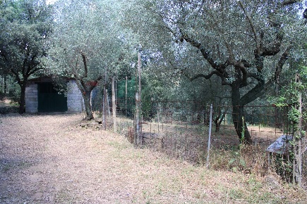 Foto Terreno agricolo a Capraia e Limite di 4448 m² in vendita