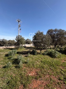Foto Terreno agricolo in contrada montelotorto, Ostuni di 4595 m²