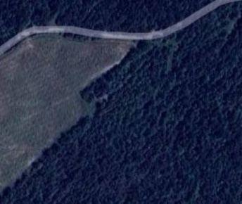 Foto Terreno agricolo in Strada di Valle Cupa, Piancastagnaio in vendita