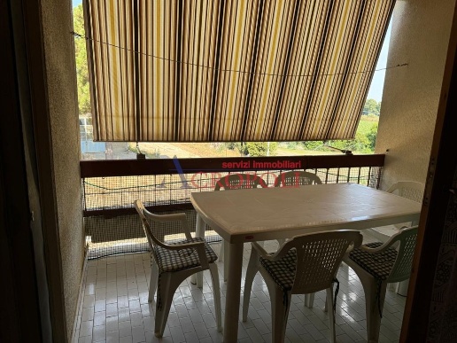 immagine annuncio 6 di 14