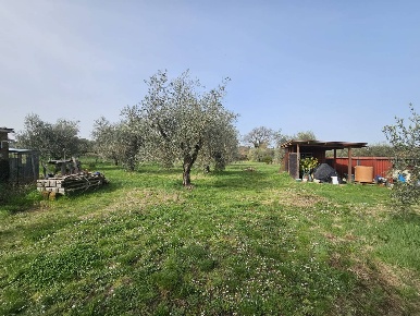 Foto Terreno agricolo in Strada Fontanelle, Vitorchiano di 3926 m²