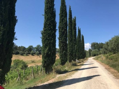 Foto Villa unifamiliare a Siena di 131 m² con 4 locali in vendita