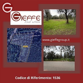 Foto Terreno agricolo a Taurianova Centro di 6000 m² in vendita