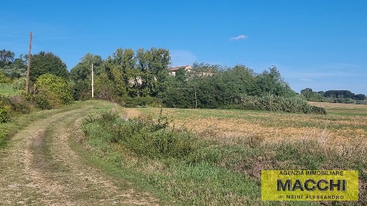 Foto Rustico a Terricciola Centro di 2000 m² con 15 locali in vendita