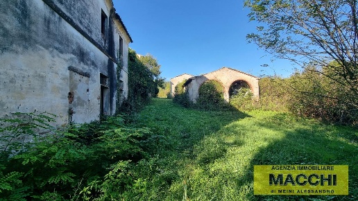 immagine annuncio 2 di 6