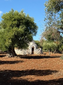 Foto Casa indipendente in contrada casalini snc, Ostuni Centro Storico
