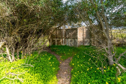 Foto Terreno agricolo in Contrada Vaccarizzo, Catania Vaccarizzo di 5000 m²