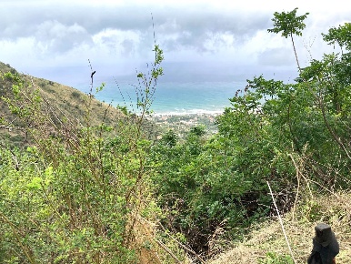 Foto Rustico in Contrada Serre - Via Batia 1, Cefalù di 34 m² con 1 locali