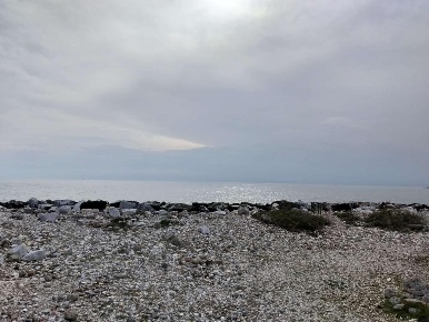 Foto Appartamento a Carrara Marina di Carrara di 80 m² con 5 locali