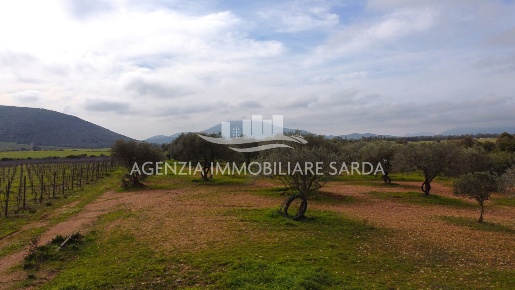 Foto Terreno edificabile a Alghero La Corte - Campanedda di 300 m²