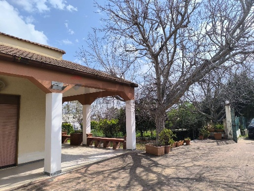 immagine annuncio 6 di 9