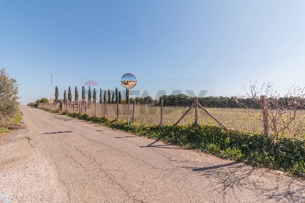 Foto Terreno agricolo in Via dell'arcipretura 4, Montalto di Castro