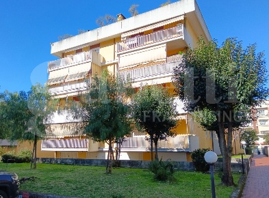 Foto Ufficio a Carrara Avenza di 80 m² in vendita