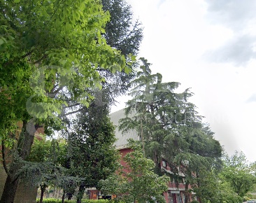 Foto Appartamento a Bologna Savena di 70 m² con 3 locali in vendita