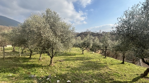 Foto Rustico in Via Casale Basso snc, Alatri di 80 m² in vendita