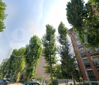 Foto Box in Viale Campania 7, Rozzano Centro di 17 m² in vendita