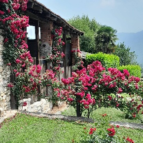 Foto Locale commerciale in Località Pianta 8, Villar Pellice di 500 m²