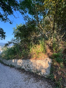 Foto Terreno agricolo a Carbonara di Nola di 1641 m² in vendita