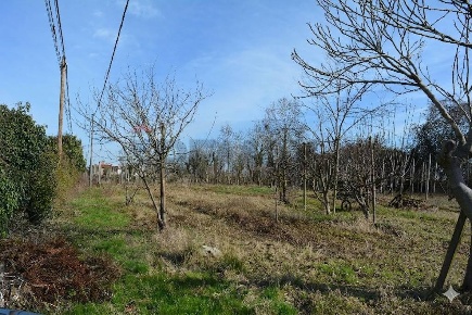 Foto Terreno agricolo in Via Don Orione, Mirano Campocroce di 4525 m²