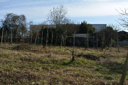 Foto Terreno agricolo in Via Don Orione 17, Mirano Campocroce di 4525 m²