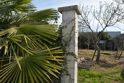 Foto Terreno agricolo in Via Don Orione, Mirano Campocroce di 4525 m²