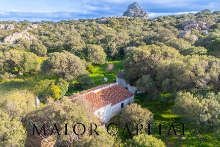 Foto Casa indipendente in Via Stazzu Lu Palazzu, Olbia di 140 m² in vendita