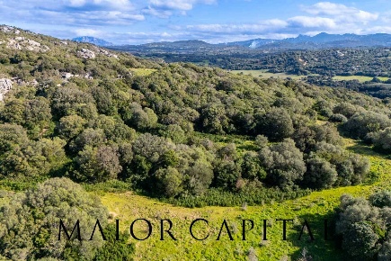 Foto Terreno agricolo in Via Macciunitta, Arzachena Arzachena Paese