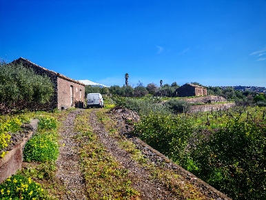 Foto Terreno agricolo a Santa Maria di Licodia di 12456 m² in vendita