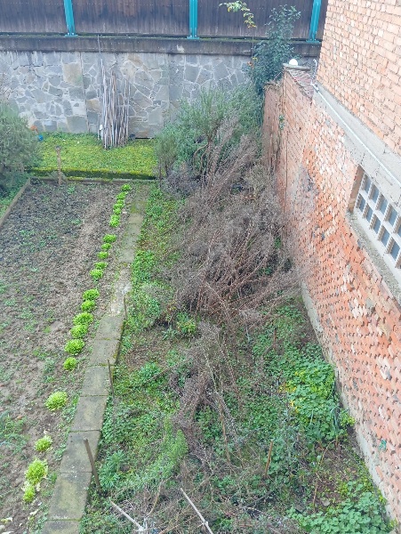 immagine annuncio 2 di 7