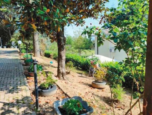 immagine annuncio 9 di 12