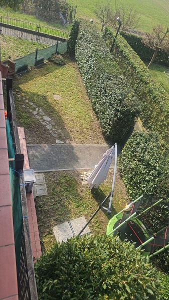 immagine annuncio 5 di 9