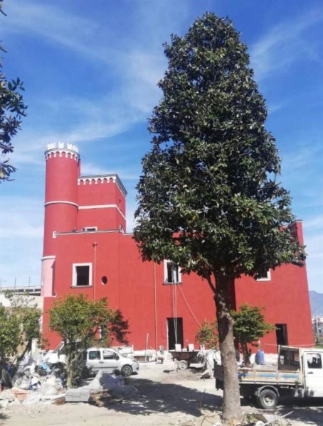 immagine annuncio 2 di 5
