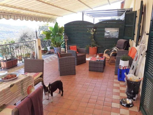 immagine annuncio 1 di 11