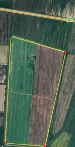 Foto Terreno agricolo a Altopascio in vendita