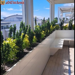 Foto Appartamento in PADRE REGINALDO GIULIANI, Lissone Centro Storico