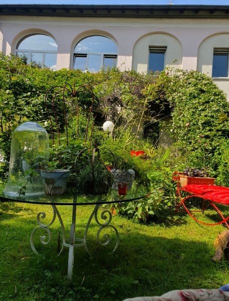 immagine annuncio 2 di 13