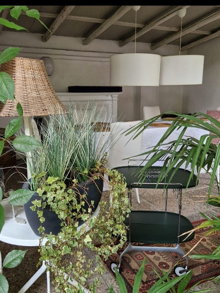 immagine annuncio 4 di 13