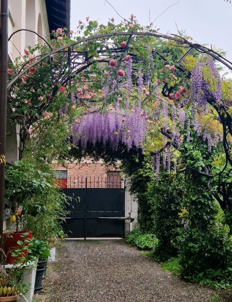 immagine annuncio 8 di 13