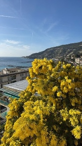 Foto Capannone industriale in via roma, Camporosso Centro di 950 m²